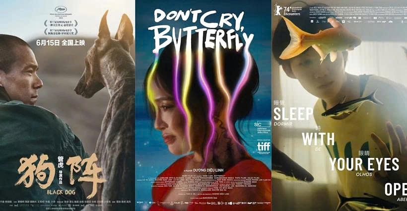 International award-winning films to be screened at DANAFF III
